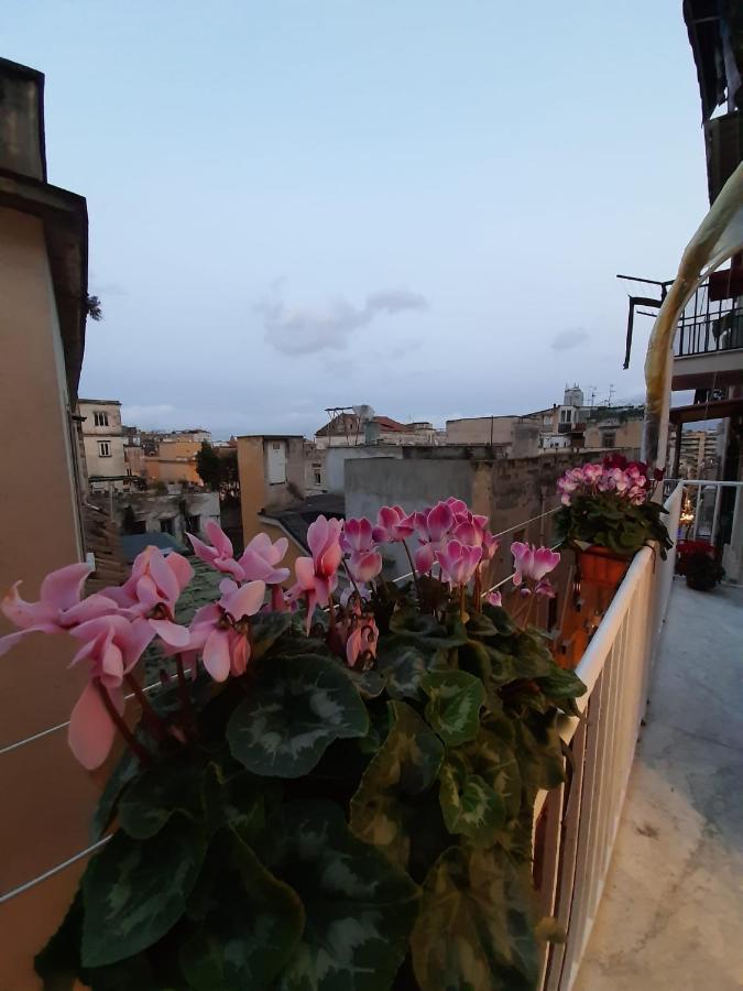 Nello'S Home Νάπολη Εξωτερικό φωτογραφία